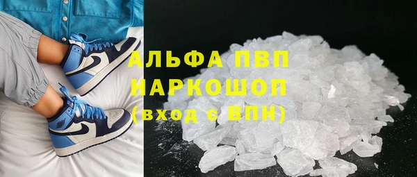 прущие крисы Бородино