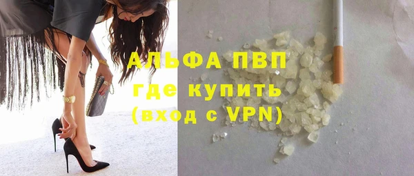 прущие крисы Бородино