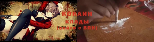прущие крисы Бородино