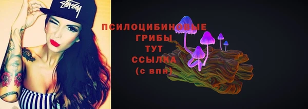 прущие крисы Бородино