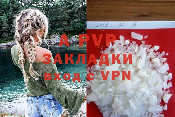 прущие крисы Бородино
