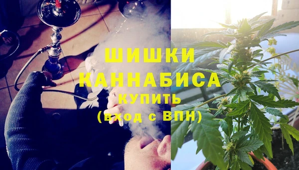 прущие крисы Бородино