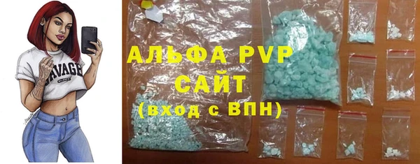 прущие крисы Бородино