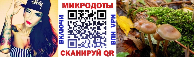 Галлюциногенные грибы мицелий  купить наркотик  Кочубеевское 
